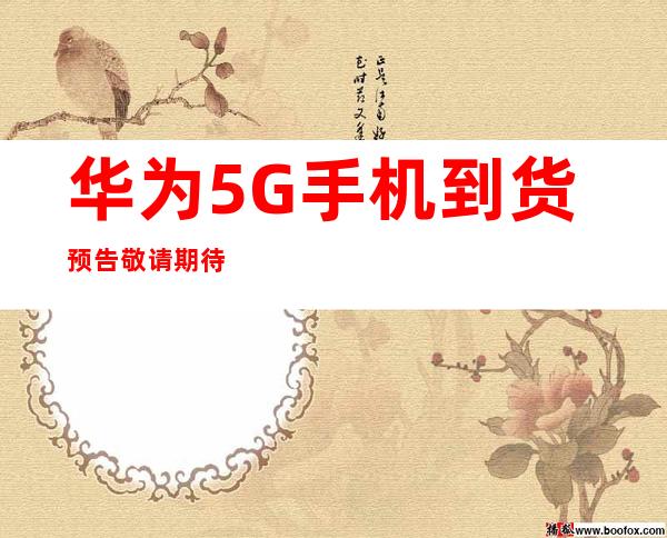 传承红色血脉，筑牢Weilink长城